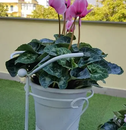 Pompei Vesevus Apartment