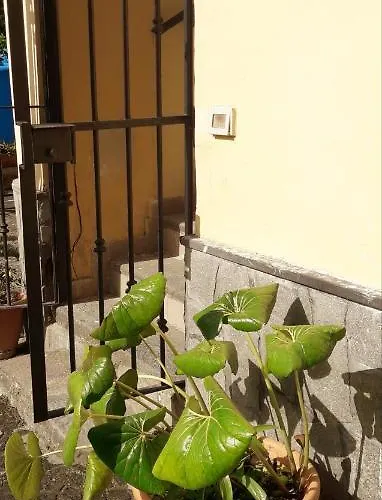 Pompei Vesevus Daire